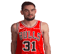 Tomas Satoransky Sticker by Chicago Bulls