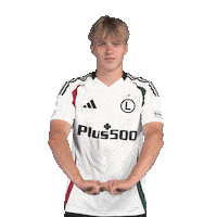 LegiaWarsaw football soccer warsaw warszawa Sticker