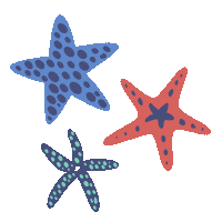 San Diego Stars Sticker by Everyday California