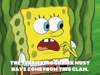 season 6 porous pockets GIF by SpongeBob SquarePants