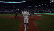 Blue Jays Celebration GIF by Toronto Blue Jays
