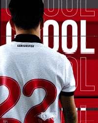 King Of The North GIF by SAMSUNSPOR