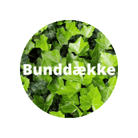 Tekst Sticker by Plantetorvet.dk