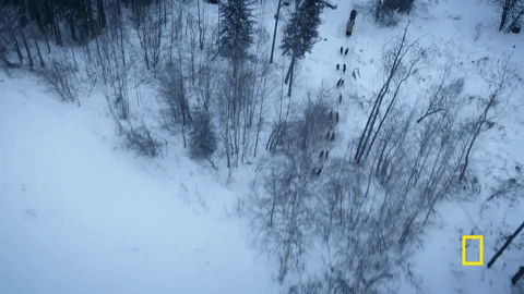 natgeochannel giphygifmaker life below zero GIF