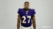 Celebrate Charm City GIF by Baltimore Ravens