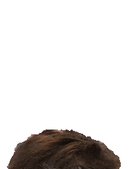 Happy Mood Sticker