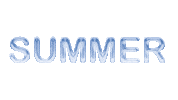Summer 夏 Sticker
