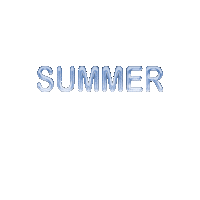 Summer 夏 Sticker