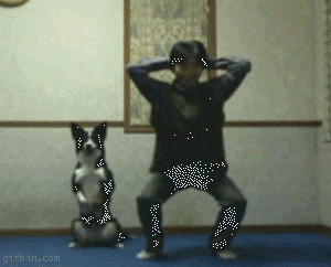 life dogs GIF