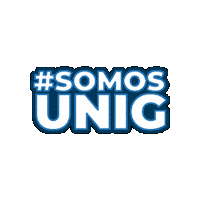 Universidadeiguacu Sticker by unig