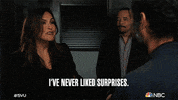 Season 23 Nbc GIF by Law & Order