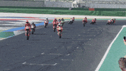 DucatiMotor bike race moto motogp GIF