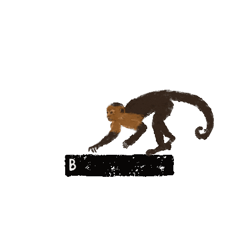 Monkey Bedifferent Sticker