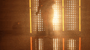 Softball Tennessee GIF by NCAA Championships