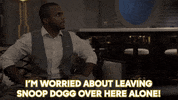 Snoop Dogg Grandhotelabc GIF by ABC Network