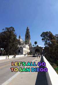 stonehampress san diego sandiego stonehampress timlewis GIF