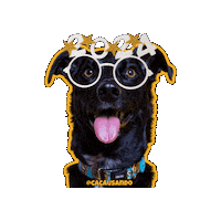 Dog Pet Sticker