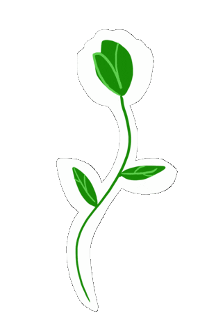 dansmontiroir giphyupload flower plant fleur Sticker