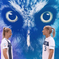 National Team Football GIF by Suomen jalkapallo- ja futsalmaajoukkueet