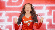 Daytonvolleyball GIF by Dayton Flyers