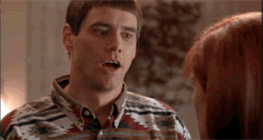 GIF by Giphy QA