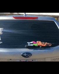 Wwe Wwf GIF by WiperTags Wiper Covers