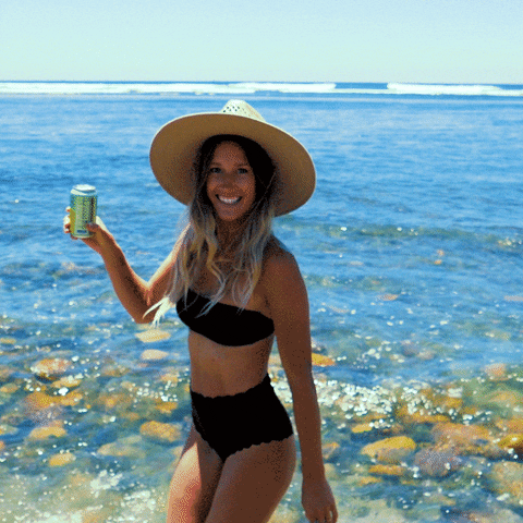 ElephantCraftSeltzer giphyupload GIF