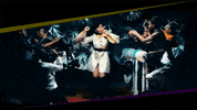 africa GIF by EbonyLife TV