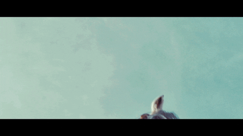 game of thrones horse GIF by 4AD