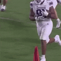Usc Fumble GIF