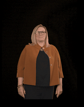 fdpfraktionlsa giphyupload fdplsa fdpfraktionlsa tarricone GIF