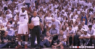 Miami Heat GIF by SB Nation