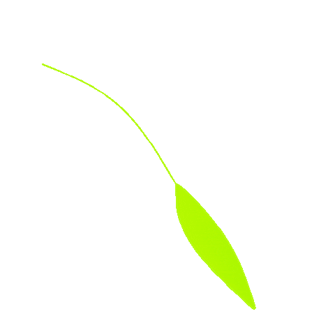 Planta Flora Sticker