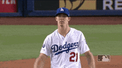 Regular Season Sport GIF by MLB