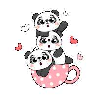 elistorycriativo panda pandinha elistorycriativo pandinha Sticker
