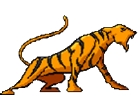 tiger STICKER