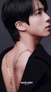 Jin Bts GIF