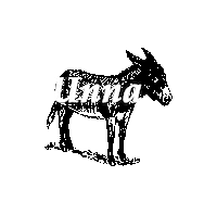 Esel Sticker by Unna Marketing