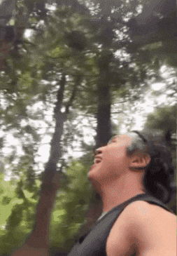 Scream Roar GIF