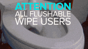 toilet paper news GIF by NowThis 