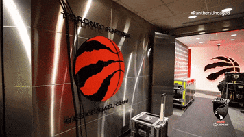 Hockey Cats GIF by Florida Panthers