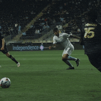 Major League Soccer Football GIF by Philadelphia Union
