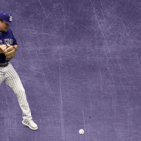 Kdub GIF by KWC Panthers
