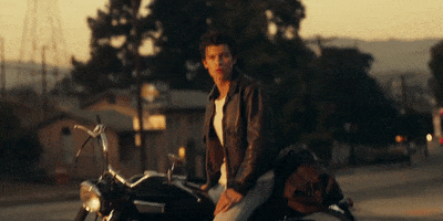 shawn mendes camila cabello GIF by Shawn Mendes