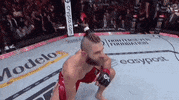 Mixed Martial Arts Sport GIF by UFC