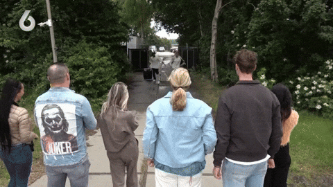 giphy.gif