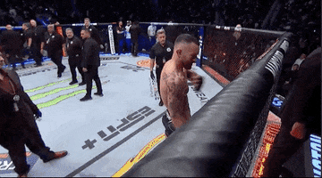 Mixed Martial Arts Sport GIF by UFC