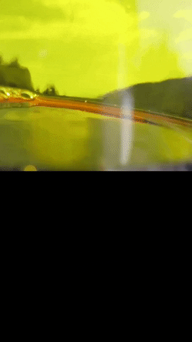 Simongip giphygifmaker GIF