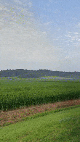 Simongip giphyupload GIF