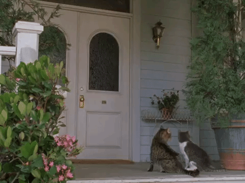season 4 netflix GIF by Gilmore Girls 
